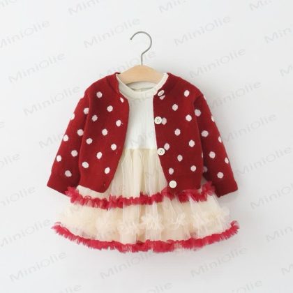 Baby Girl Knit Dots Mesh Dress